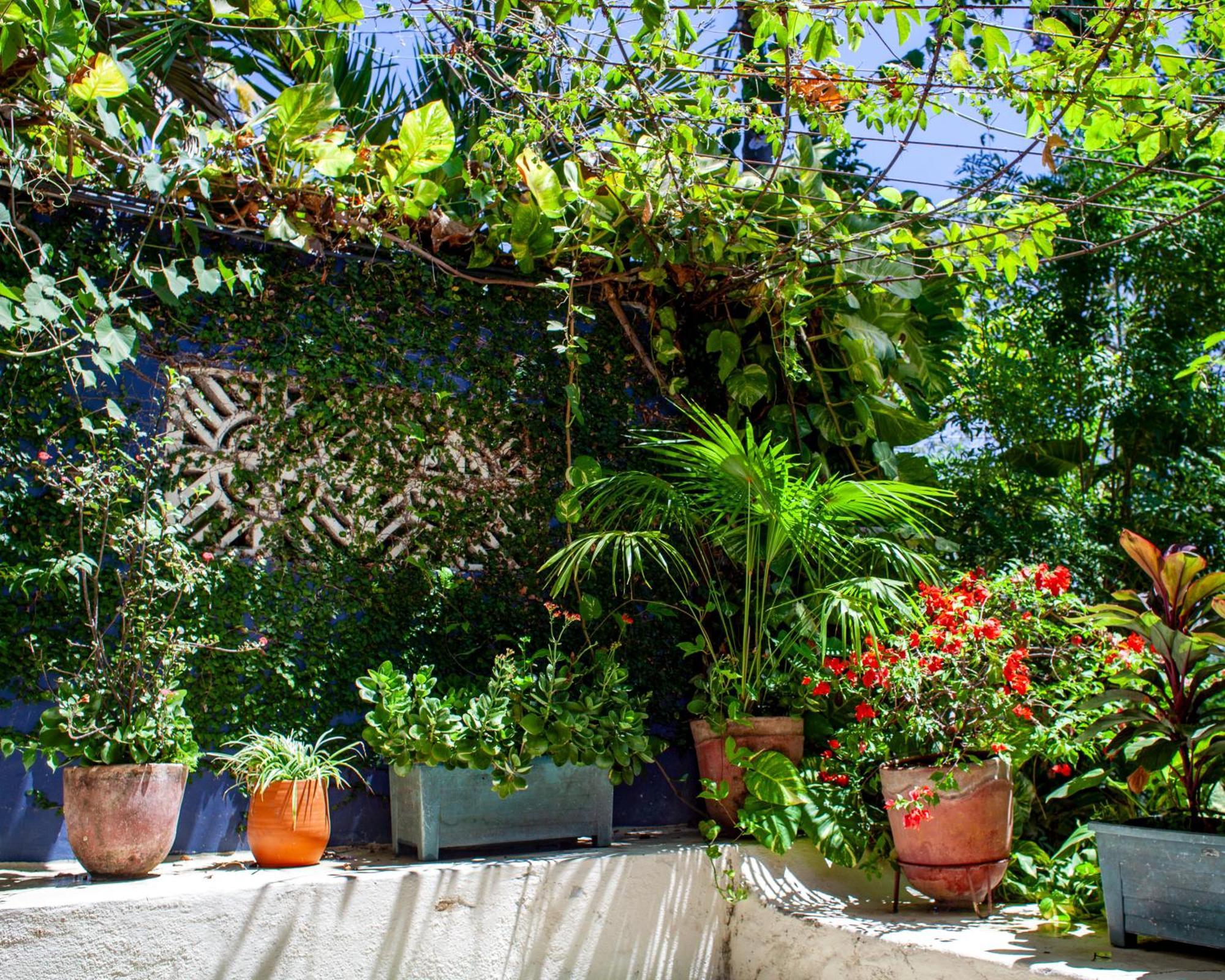 مبيت وإفطار La Laguna Casa Marimba المظهر الخارجي الصورة